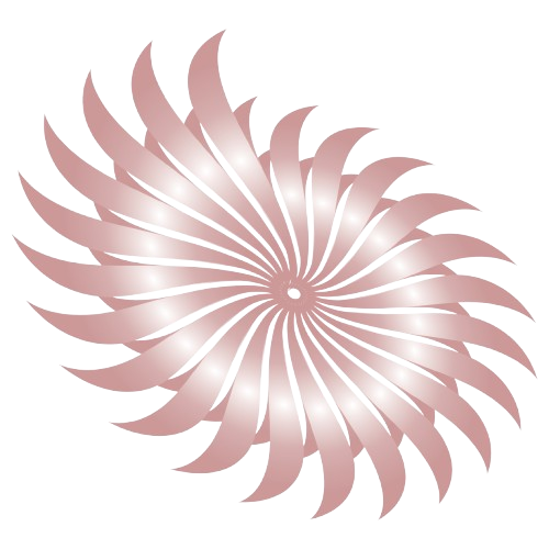 Shim Security Logo